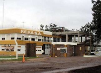 Se incendiaron pastizales en zona Fepasa