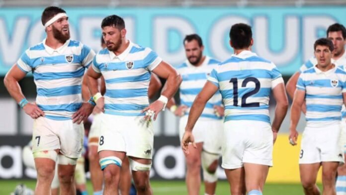 DEPORTES PAG 12 - LOS PUMAS