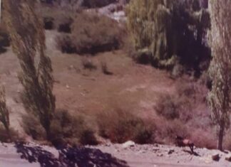 Realizan los actos por los 40 años del Milagro Mariano