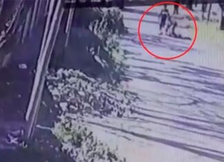 Le quitó el arma al ladrón que lo asaltó y lo mató