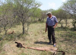 Se incrementaron los robos rurales durante la pandemia