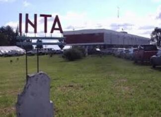 Exponen los profesionales del INTA