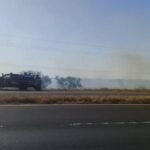 Pagina 6 24 de noviembre 2020 bomberos impidieron que se incendie la ruta 142
