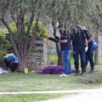 Pagina 6 26 de noviembre 2020 se estanca la investigación por el triple crimen de paraná