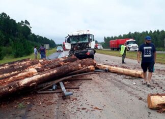 Un camión cisterna chocó a otro que llevaba maderas