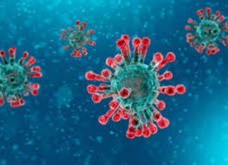 En argentina. Hubo más de 8.500 contagios