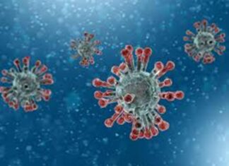 Confirmaron más de 7.800 contagios