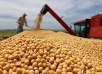 La FAA apunta a una reforma agraria