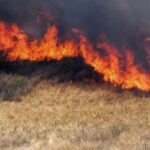 p8 – Piden detalles sobre el Fondo de Manejo del Fuego