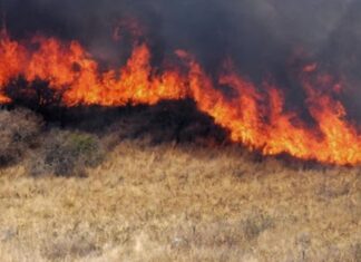 Piden detalles sobre el Fondo de Manejo del Fuego
