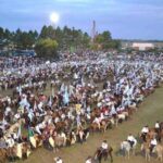p8 – Se suspendió la Fiesta Provincial del Caballo 2021