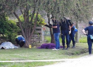 Un detenido por triple crimen