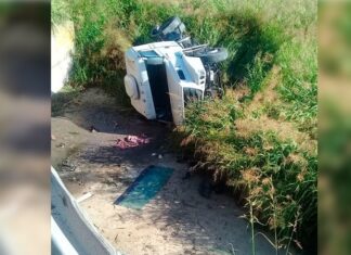 Un camión cayó desde un puente sobre ruta 11