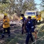 Pagina 7 10 de diciembre 2020 bomberos apagaron un incendio en camino a pelay2