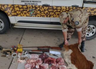 Detuvieron a una persona por caza ilegal de animales