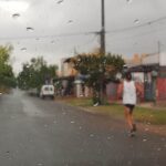 foto del dia