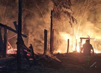 Nuevo incendio en la isla Cambacuá