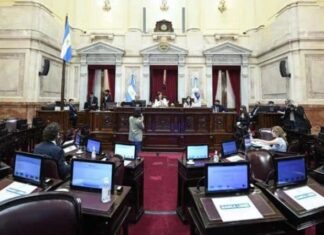 El Senado dictaminó a favor de la ley
