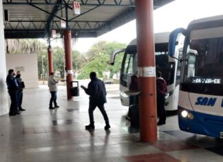 En la provincia se utilizará el 80% de los colectivos