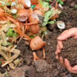 p4 – compost
