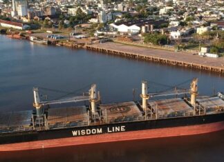 Argentina abre un nuevo mercado para la madera