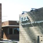 p4 inta radio concepción