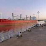p4 puerto – preparan exportación a india
