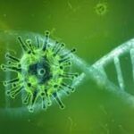 p4 uso del cannabis medicinal (2)