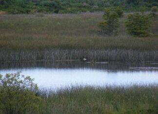 La campaña Conocer para Proteger cierra ciclo de charlas