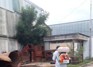 Comenzaron las fumigaciones