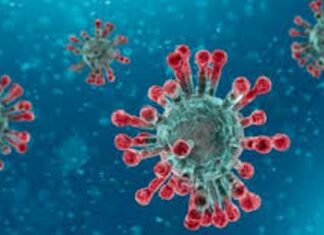 Reportaron más de 3.700 casos