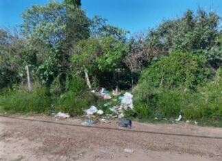 Por la existencia de roedores, piden se desmalece un terreno