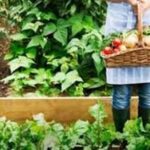 p5 producción agroecológica1