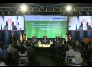 Capacitación en Cannabis Medicinal