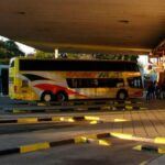 p8 – Crece el número de servicios de transporte interurbano
