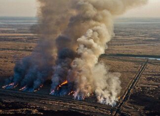 Entre Ríos golpeada por las quemas