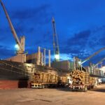p8 – Se completó una nueva exportación de madera