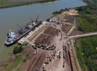 Casi 500 mil toneladas de madera partieron a China