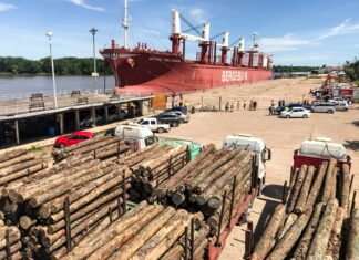 La exportación a través de los puertos entrerrianos ha generado más de 3.000 millones de pesos