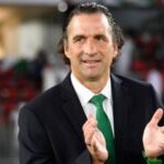 DEPORTES P 12 PIZZI