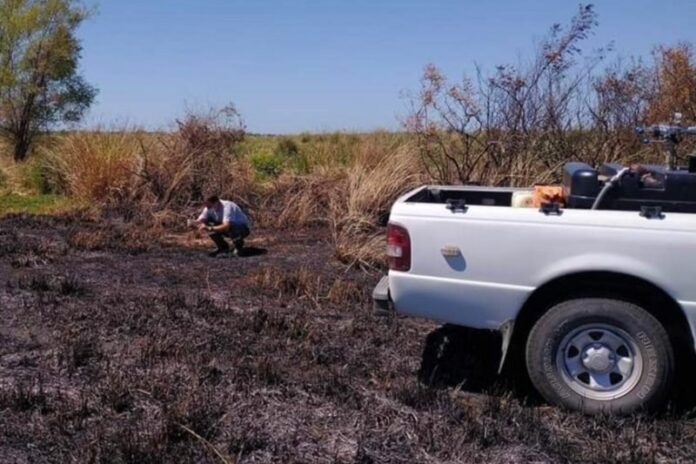 P- Incendios