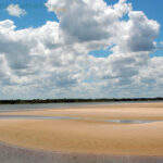 P6- Bajante del río