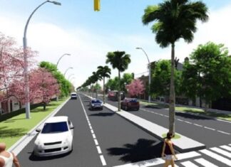 Medida frena la tala de árboles