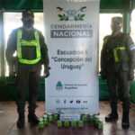 P7- potes de marihuana