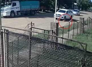 Atropelló un perro con su camioneta