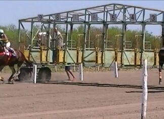 Investigan llamativo robo en una carrera de caballos