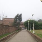 coronavirus en concepción del uruguay