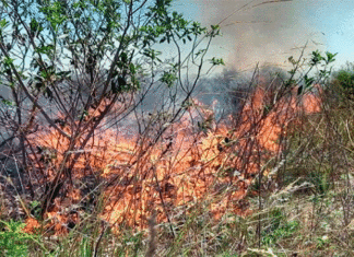 Vecinos evitaron que un incendio llegue a una estación