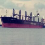 p1 daiwan infinity1 (1)