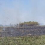 p3 quema de pastizales1
